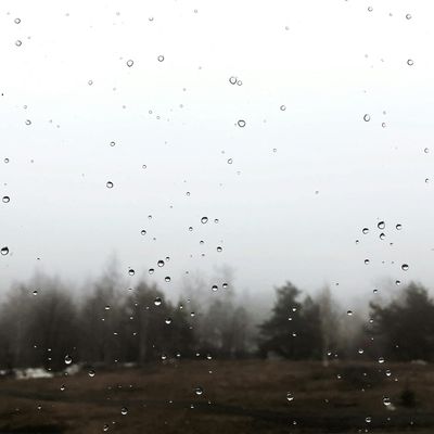 View from a window showing a peaceful natural scene after a workout.
